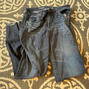 Adriano Goldschmied 'The Stevie Ankle' Slim Straight Ankle Dark Wash Sz 29R